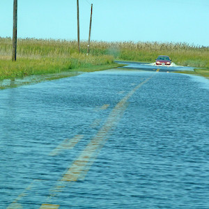 High tide flowed over the road at Elliott's Island, Dorchester County, MD after a high precipitation event occured. (Photo Courtesy of G. Willey, IAN).